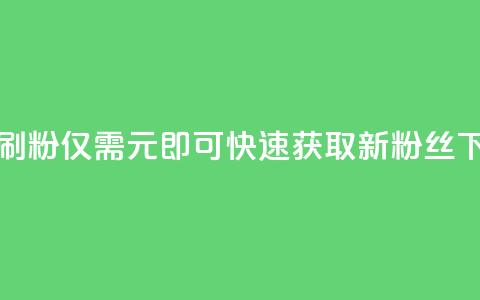 1元秒刷1000粉 - 仅需1元即可快速获取1000新粉丝!  第1张