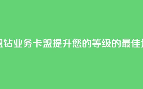 qq钻业务卡盟 - 提升您的QQ等级的最佳选择!  第1张