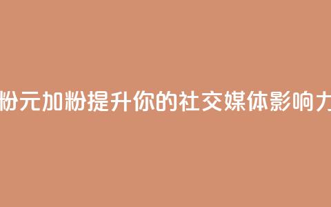 1元增加1000粉 - 1元加1000粉-提升你的社交媒体影响力~  第1张