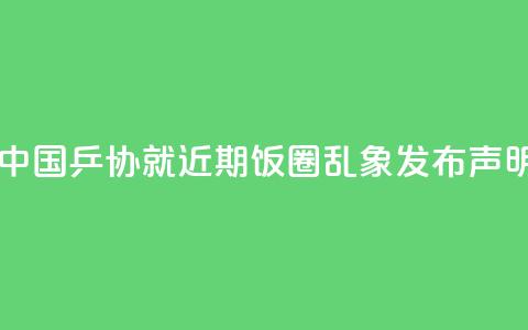 中国乒协就近期“饭圈”乱象发布声明  第1张