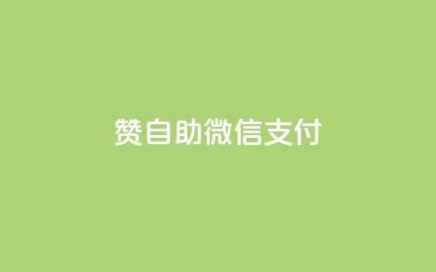 Ks赞自助微信支付 - 微信卡盟 第1张 Ks赞自助微信支付 - 微信卡盟 第1张