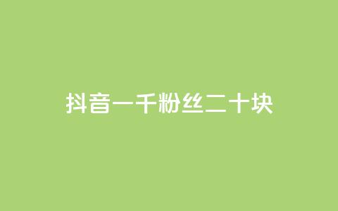 抖音一千粉丝二十块 - 抖音千粉丝月入二十元的秘密揭秘~ 第1张 抖音一千粉丝二十块 - 抖音千粉丝月入二十元的秘密揭秘~ 第1张