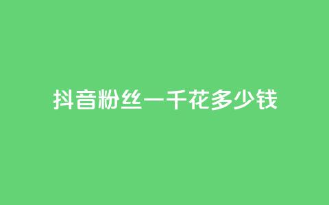 抖音粉丝一千花多少钱 - 购买一千个抖音粉丝的价格! 第1张 抖音粉丝一千花多少钱 - 购买一千个抖音粉丝的价格! 第1张