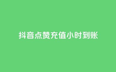 抖音点赞充值24小时到账,抖音二十四小时点赞自助平台 - 快手涨1万粉 ks业务最火的三个网站  第1张