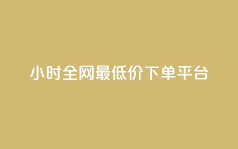 24小时全网最低价下单平台 - 24小时内最优惠的网络下单平台。  第1张