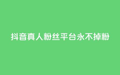 抖音真人粉丝平台 永不掉粉,ks粉丝业务怎么接 - QQ个性赞充值 抖音业务1000赞下单 第1张 抖音真人粉丝平台 永不掉粉,ks粉丝业务怎么接 - QQ个性赞充值 抖音业务1000赞下单 第1张