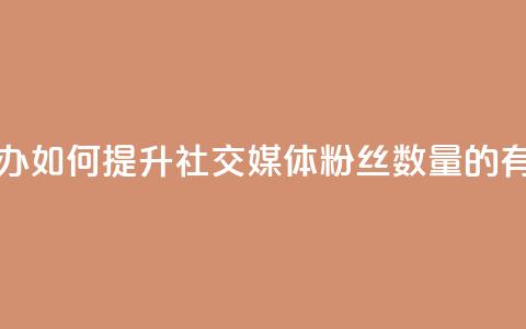粉丝太少怎么办 - 如何提升社交媒体粉丝数量的有效策略。  第1张