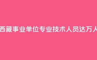 西藏事业单位专业技术人员达11.6万人