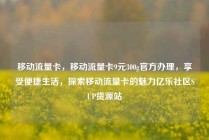 移动流量卡，移动流量卡9元300g官方办理，享受便捷生活，探索移动流量卡的魅力亿乐社区SUP货源站