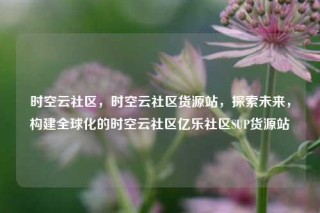 时空云社区，时空云社区货源站，探索未来，构建全球化的时空云社区亿乐社区SUP货源站