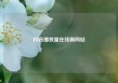抖音播放量在线刷网站