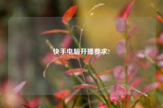 快手电脑开播要求?