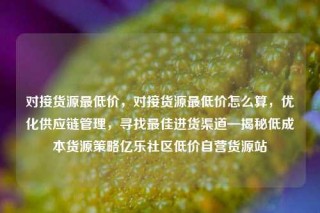 对接货源最低价，对接货源最低价怎么算，优化供应链管理，寻找最佳进货渠道—揭秘低成本货源策略亿乐社区低价自营货源站