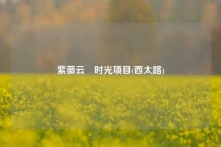 紫薇云璟时光项目(西太路)
