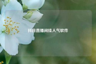 抖音直播间挂人气软件