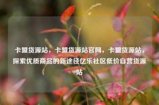 卡盟货源站，卡盟货源站官网，卡盟货源站，探索优质商品的新途径亿乐社区低价自营货源站