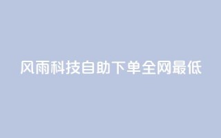 风雨科技自助下单全网最低 - 风雨科技自助下单，价格最低，全网首选!