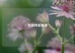 货源网站推荐