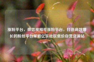 涨粉平台，微信视频号涨粉平台，打造高效增长的粉丝平台策略亿乐社区低价自营货源站