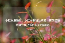 小红书刷粉丝，小红书刷粉丝攻略，高效吸粉秘籍分享亿乐社区SUP货源站