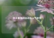 快手直播间自动挂人气软件