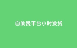 自助赞平台24小时发货,快手业务区自助 - 一元买500个赞 - ks便宜24小时业务