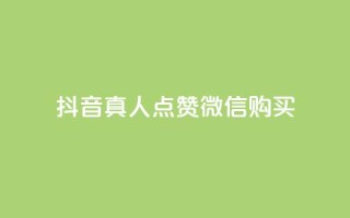 抖音真人点赞微信购买,快手低价二十四小时下单平台 - KS直播业务下单平台 - qq业务网站免费
