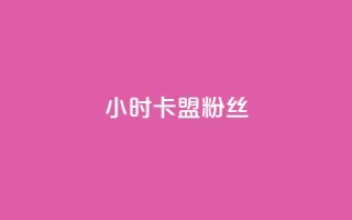 24小时卡盟粉丝 - dy快速点赞