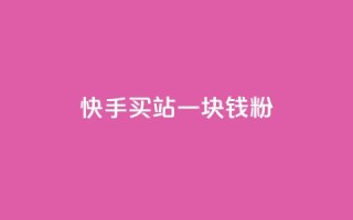 快手买站一块钱1000粉 - 快手一元购站轻松助你获取1000粉丝~