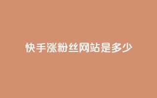 快手涨1000粉丝网站是多少 - 抖音粉丝平台代理怎么做