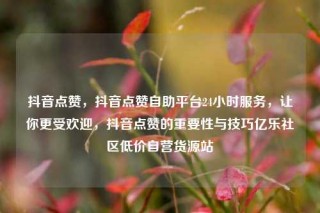 抖音点赞，抖音点赞自助平台24小时服务，让你更受欢迎，抖音点赞的重要性与技巧亿乐社区低价自营货源站
