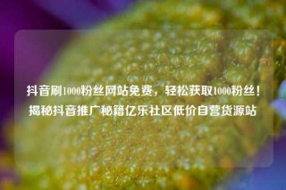 抖音刷1000粉丝网站免费，轻松获取1000粉丝！揭秘抖音推广秘籍亿乐社区低价自营货源站