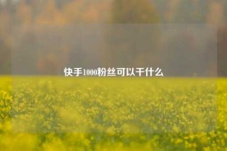 快手1000粉丝可以干什么
