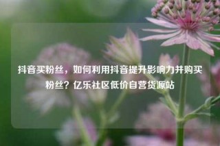 抖音买粉丝，如何利用抖音提升影响力并购买粉丝？亿乐社区低价自营货源站