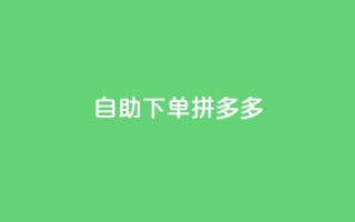 自助下单拼多多,免费领取抖音1000播放量 - 拼多多大转盘助力网站免费 - 提现最终阶段仅差一张兑换卡