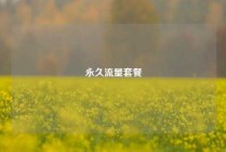 永久流量套餐