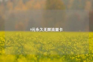 9元永久无限流量卡