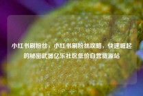 小红书刷粉丝，小红书刷粉丝攻略，快速崛起的秘密武器亿乐社区低价自营货源站