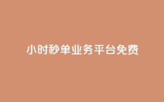 24小时秒单业务平台免费,ks业务粉丝 - 刷粉网免费入口 - 抖音推广24小时自助平台