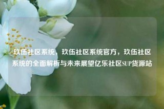 玖伍社区系统，玖伍社区系统官方，玖伍社区系统的全面解析与未来展望亿乐社区SUP货源站