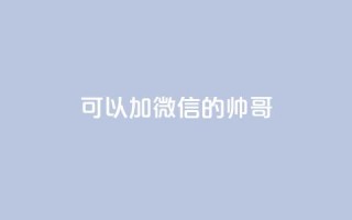 可以加微信的帅哥 - ks双参注册机