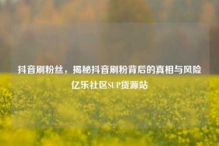 抖音刷粉丝，揭秘抖音刷粉背后的真相与风险亿乐社区SUP货源站