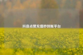抖音点赞充值秒到账平台