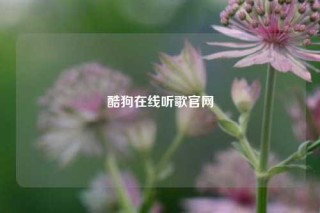 酷狗在线听歌官网