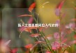新人主播直播间拉人气软件