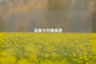 流量卡办理渠道