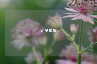 元梦星辰