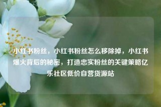 小红书粉丝，小红书粉丝怎么移除掉，小红书爆火背后的秘密，打造忠实粉丝的关键策略亿乐社区低价自营货源站