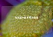 办流量卡用不用身份证