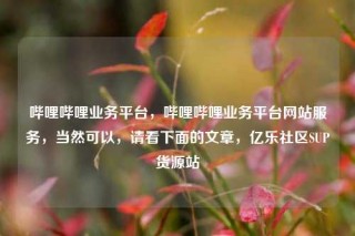 哔哩哔哩业务平台，哔哩哔哩业务平台网站服务，当然可以，请看下面的文章，亿乐社区SUP货源站
